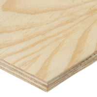 Close-up of a wooden panel with visible grain and texture