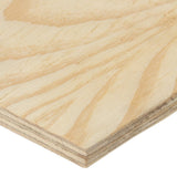 Close-up of a wooden panel with visible grain and texture